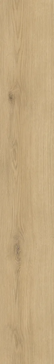 Caro