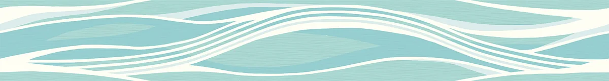 Вэйв / Wave