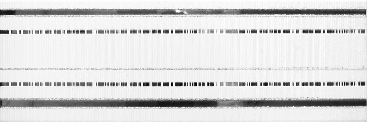 Бэнд / Band