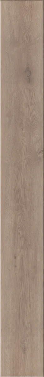 Камелия